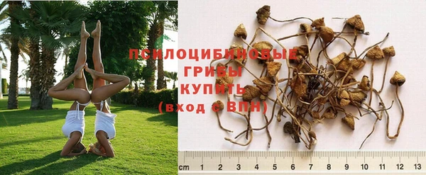 ешки Алексин