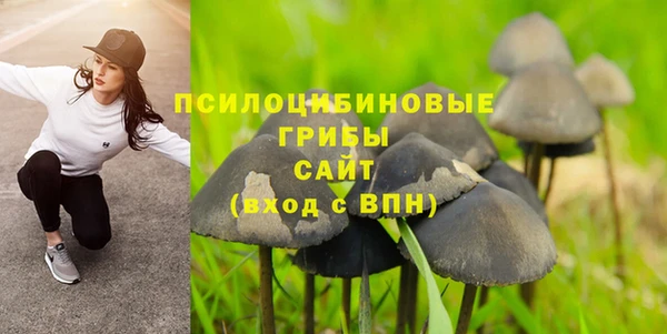 герыч Аркадак